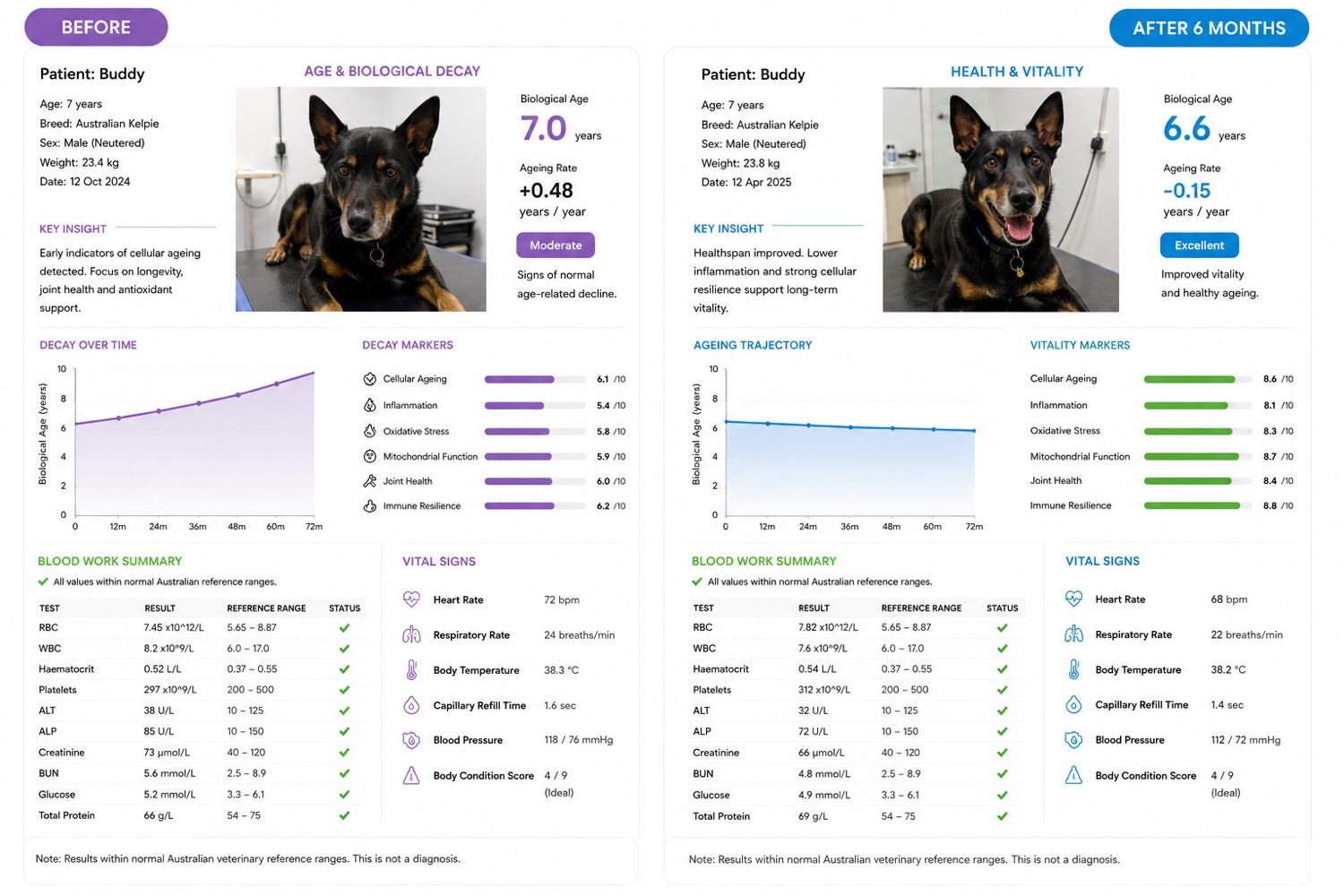 Buddy's before and after six-month health report showing improved vitality markers and a lower biological age reading