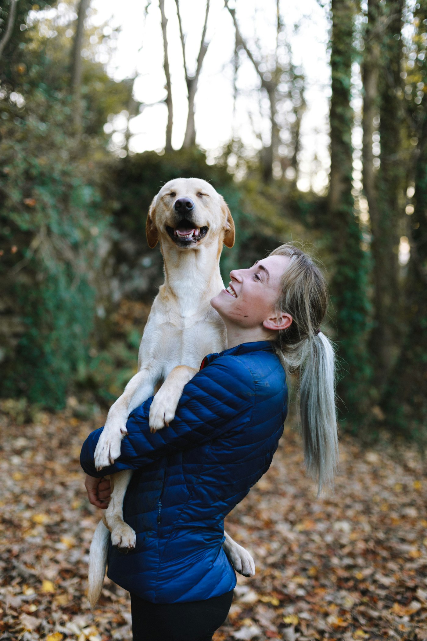 Owner with their dog