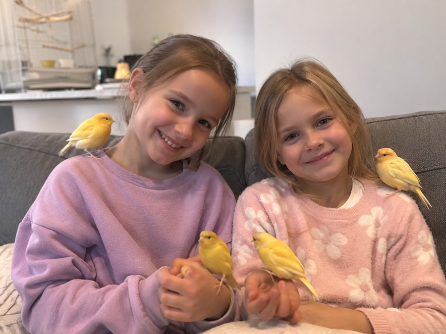 Family canaries